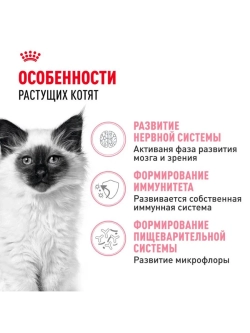 Kitten Корм для котят до 12 месяцев 2кг