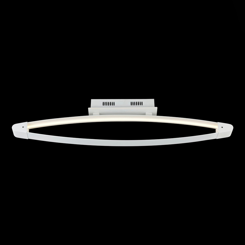 Светильник потолочный ST Luce SL920.102.01