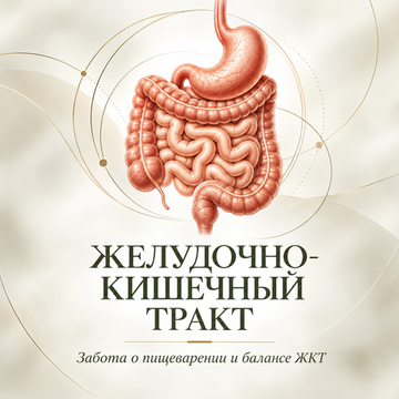 Желудочно-кишечный тракт