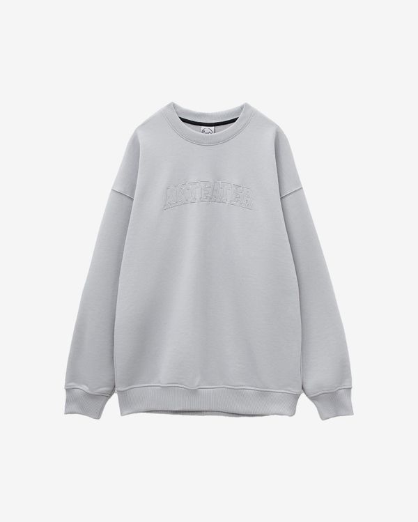 Толстовка Crewneck BigText серая - фото 1