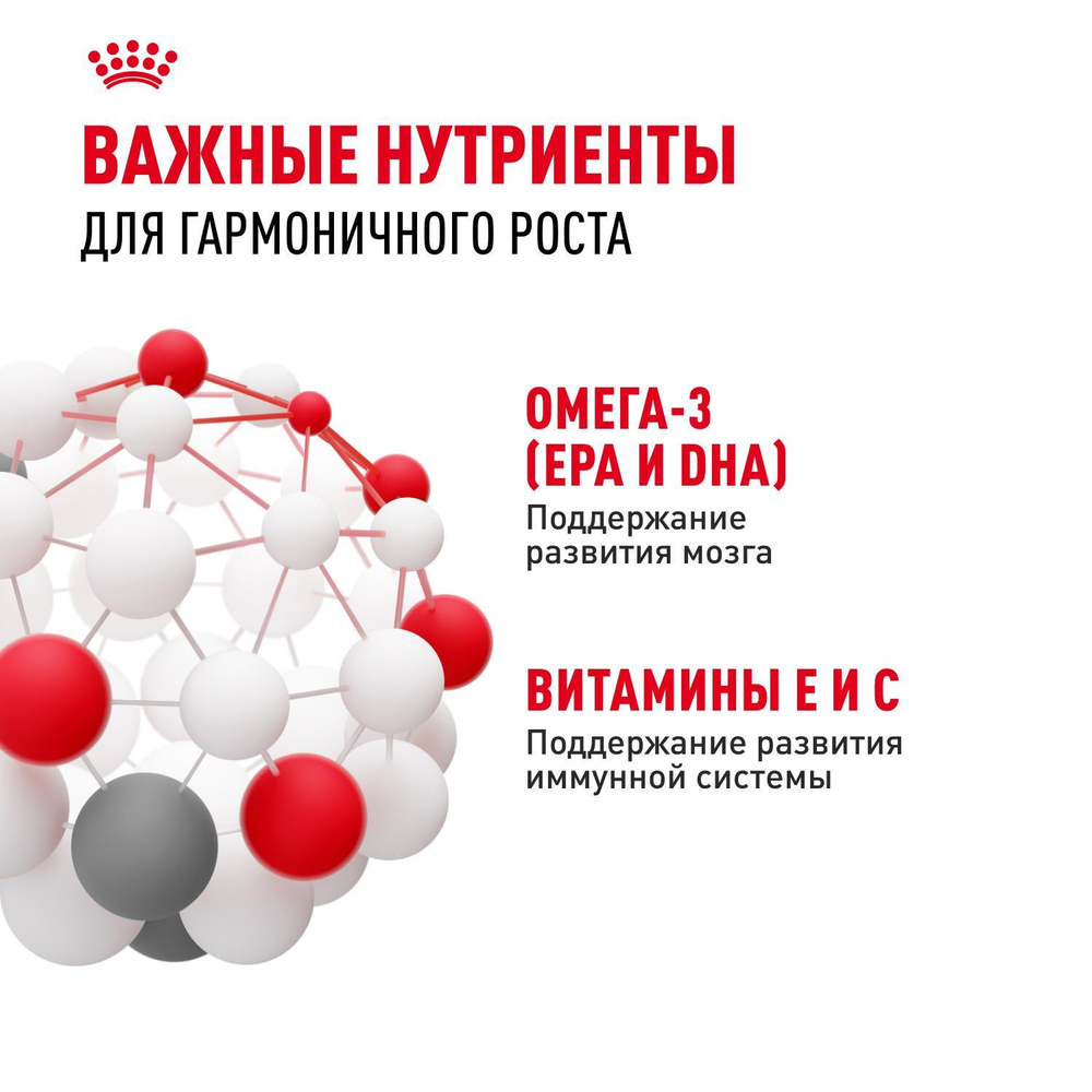 Royal Canin Kitten Киттен Корм влажный для котят в период третьей фазы роста в возрасте до 12 месяцев желе 85г