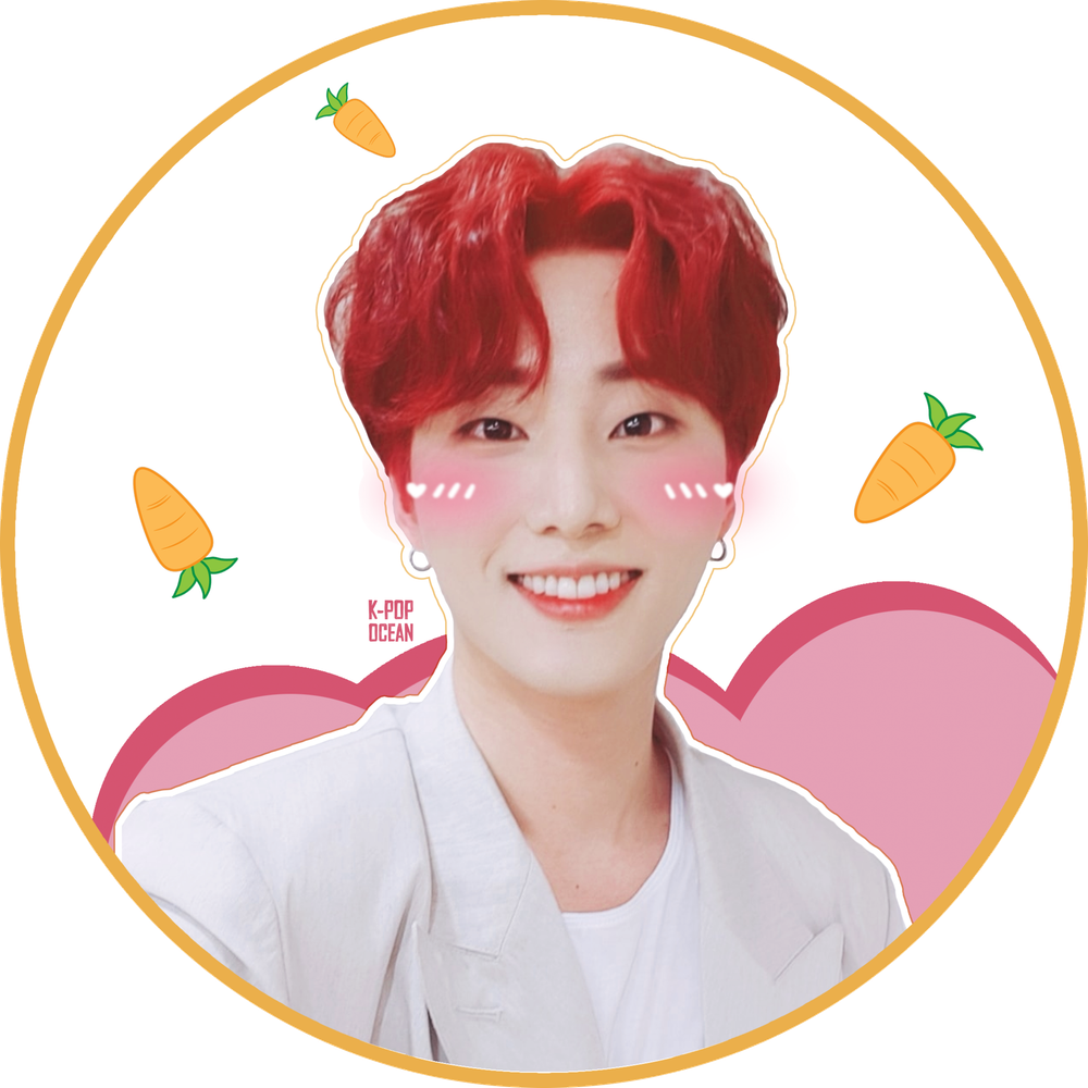 Пластиковый веер - Day6 (Ёнкей) Пластиковый веер - Day6 (Ёнкей)
