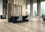 Rex Eccentric Luxe Sage Glossy 60x120