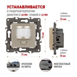 14-4103-04 ЭРА Датчик движения 2-проводной, 180-240В, 200Вт, IP20, Эра Elegance, шампань | Эра Elegance
