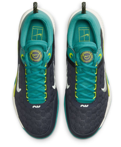 Мужские кроссовки теннисные Nike Zoom Court NXT HC - разноцветный