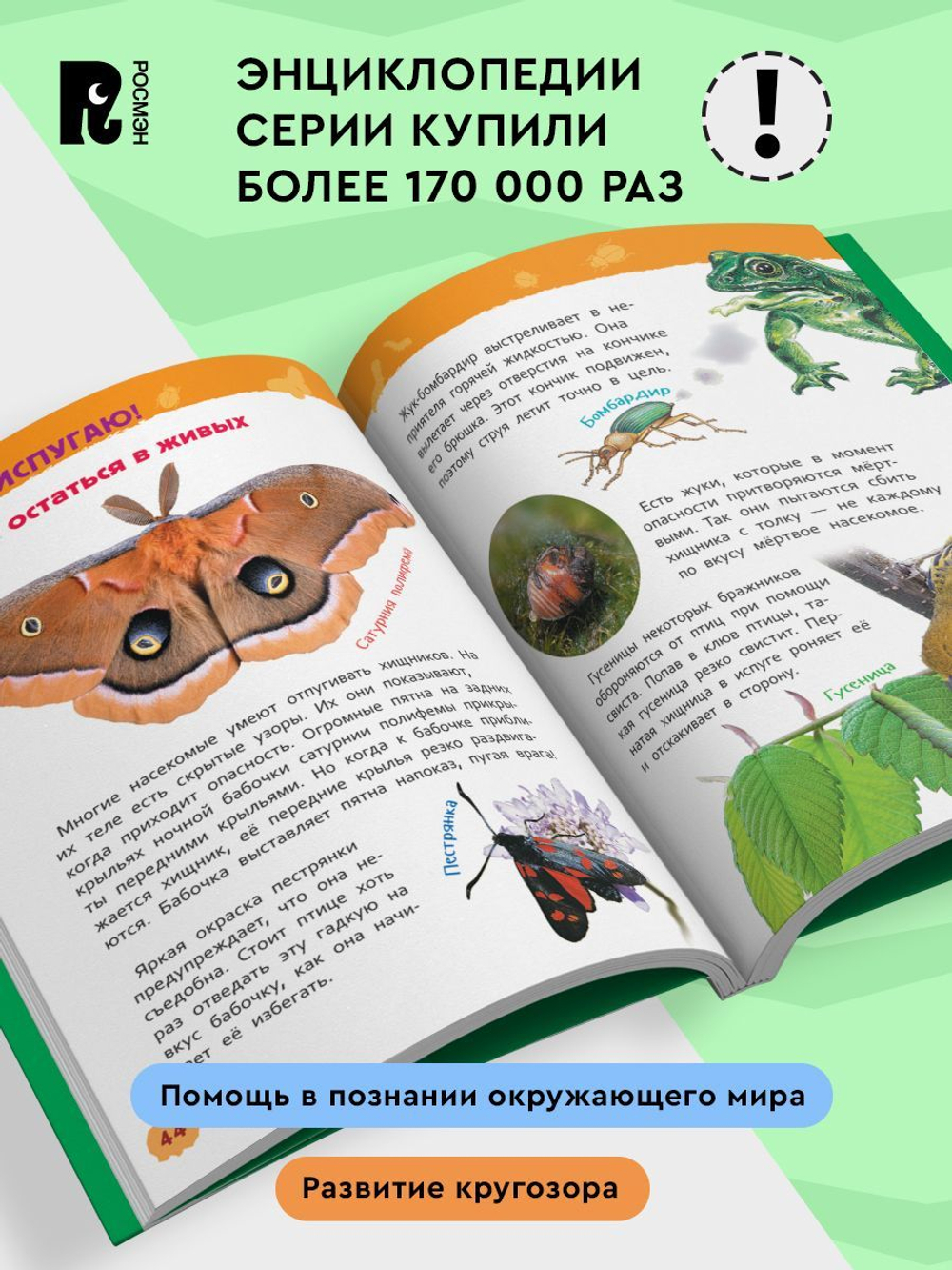 Насекомые (Энциклопедия для детского сада)