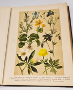 "Ботанический атлас по системе де-Кандоля". К.Гофман. 1899г.
