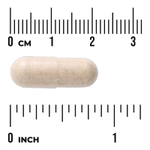 Swanson Vitamins, Full Spectrum®, комплекс из 7 грибов, 60 растительных капсул
