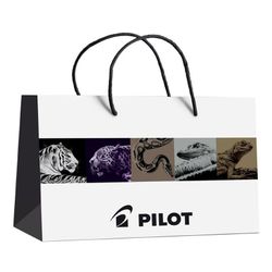 Pocket Pilot