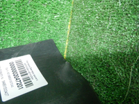 DSCN7229.JPG