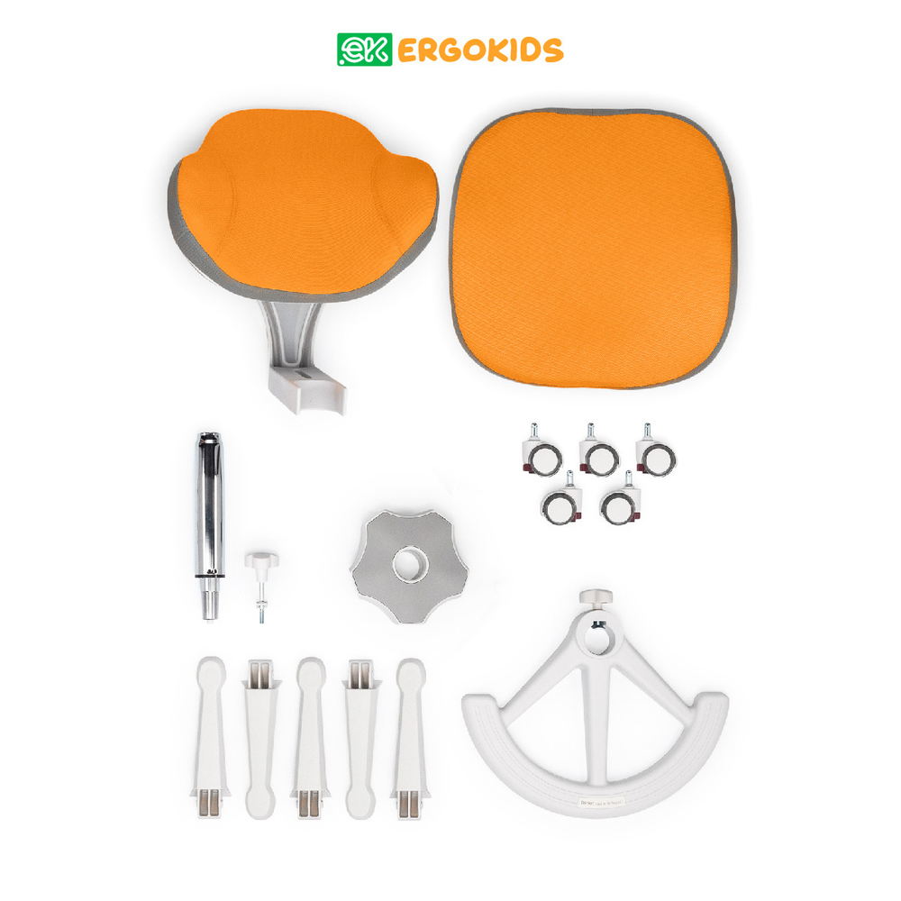 Стул для школьника Ergokids College