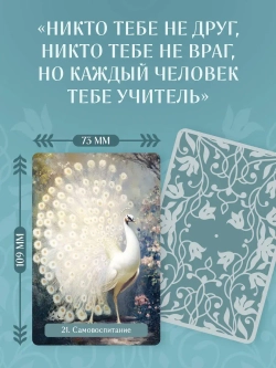 Оракул Две жизни. Послания учителей