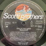 Survivor - Eye Of The Tiger (Голландия 1982г.)