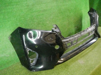 DSCN8377.jpg