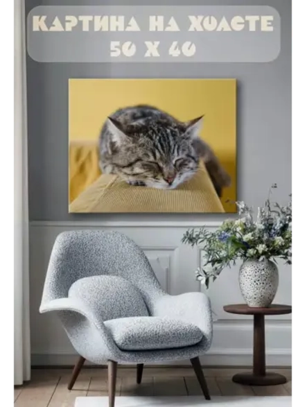 Картина на стену 40 X 50 Кошка