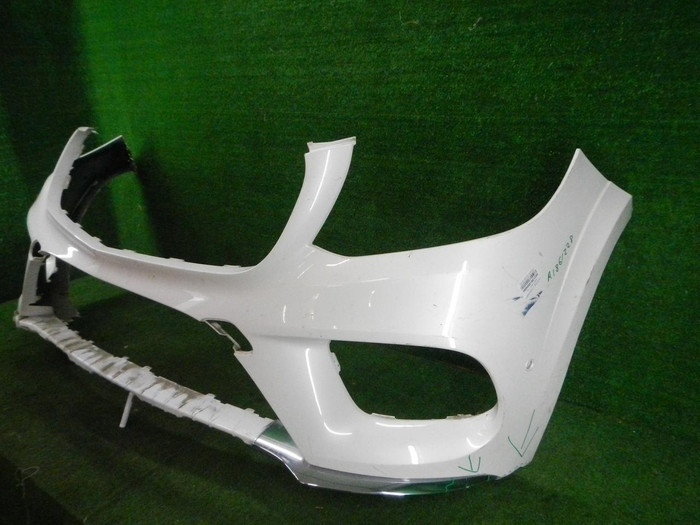 DSCN8244.JPG