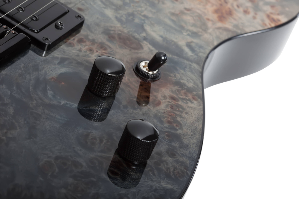schecter_pt_standard_bfbb_10_1228297101.jpg