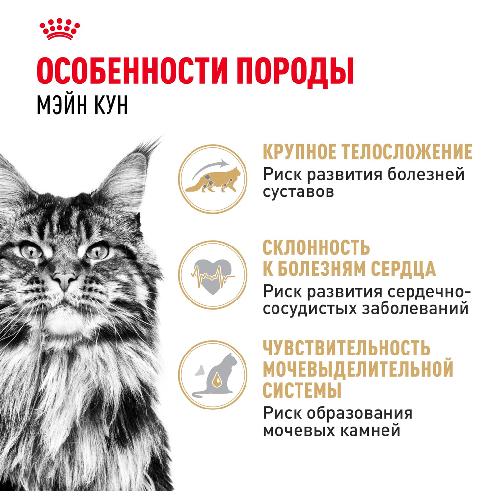 Royal Canin Maine Coon Adult Мейн Кун Эдалт Корм сухой для взрослых кошек породы Мэйн Кун 10кг
