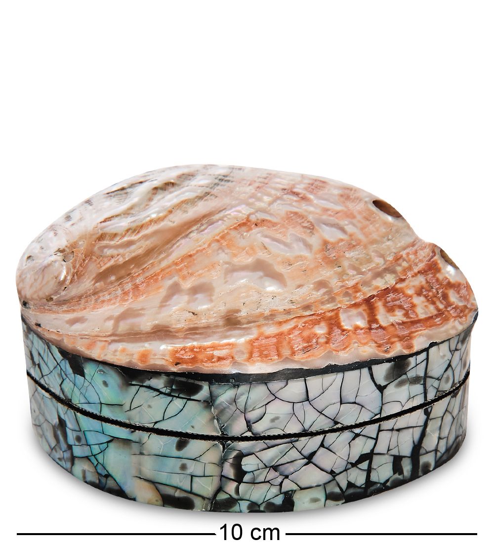 Decor and Gift 54-045-02 Декоративная шкатулка «Ракушка»
