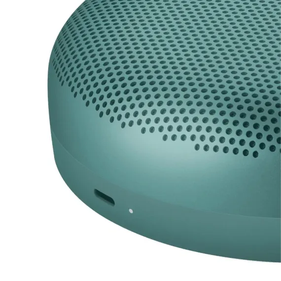 Bang &amp; Olufsen Beosound A1 3rd Gen Eucalyptus Green