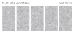 FENIX FOSSIL 60x120 SUGAR
