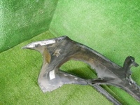 DSCN0889.jpg