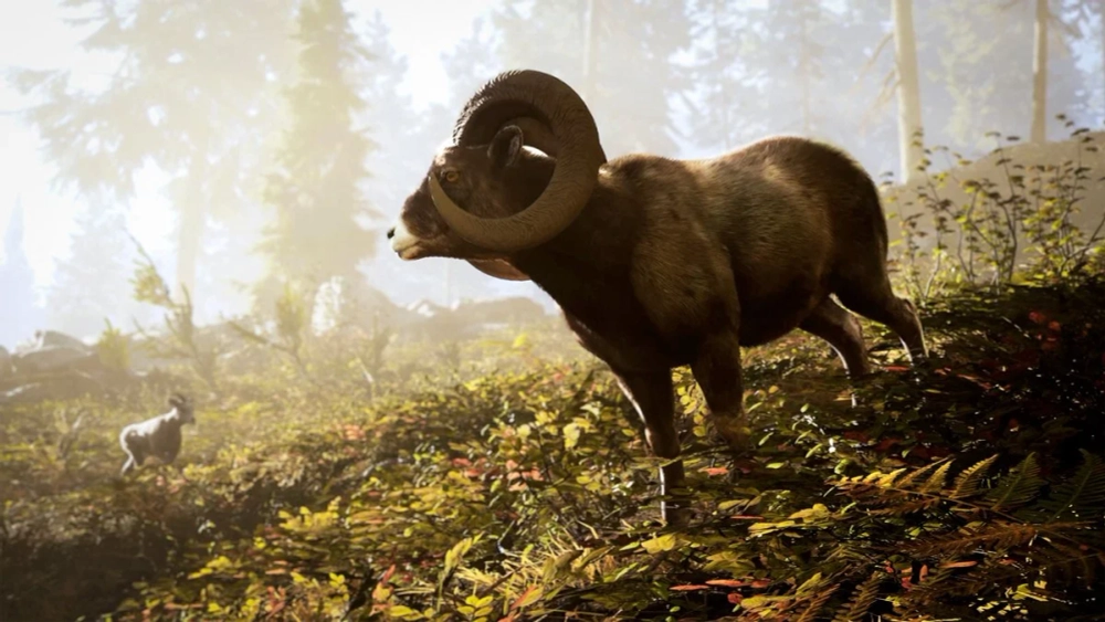 Hunting Simulator 3 (диск для PS5, интерфейс и субтитры на русском языке)