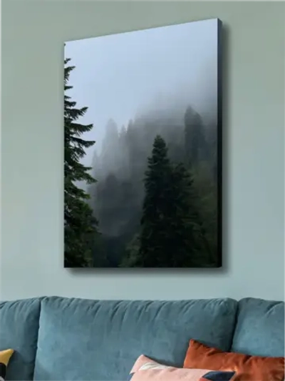 Картина Туманный склон интерьерная 50x70см 1шт.