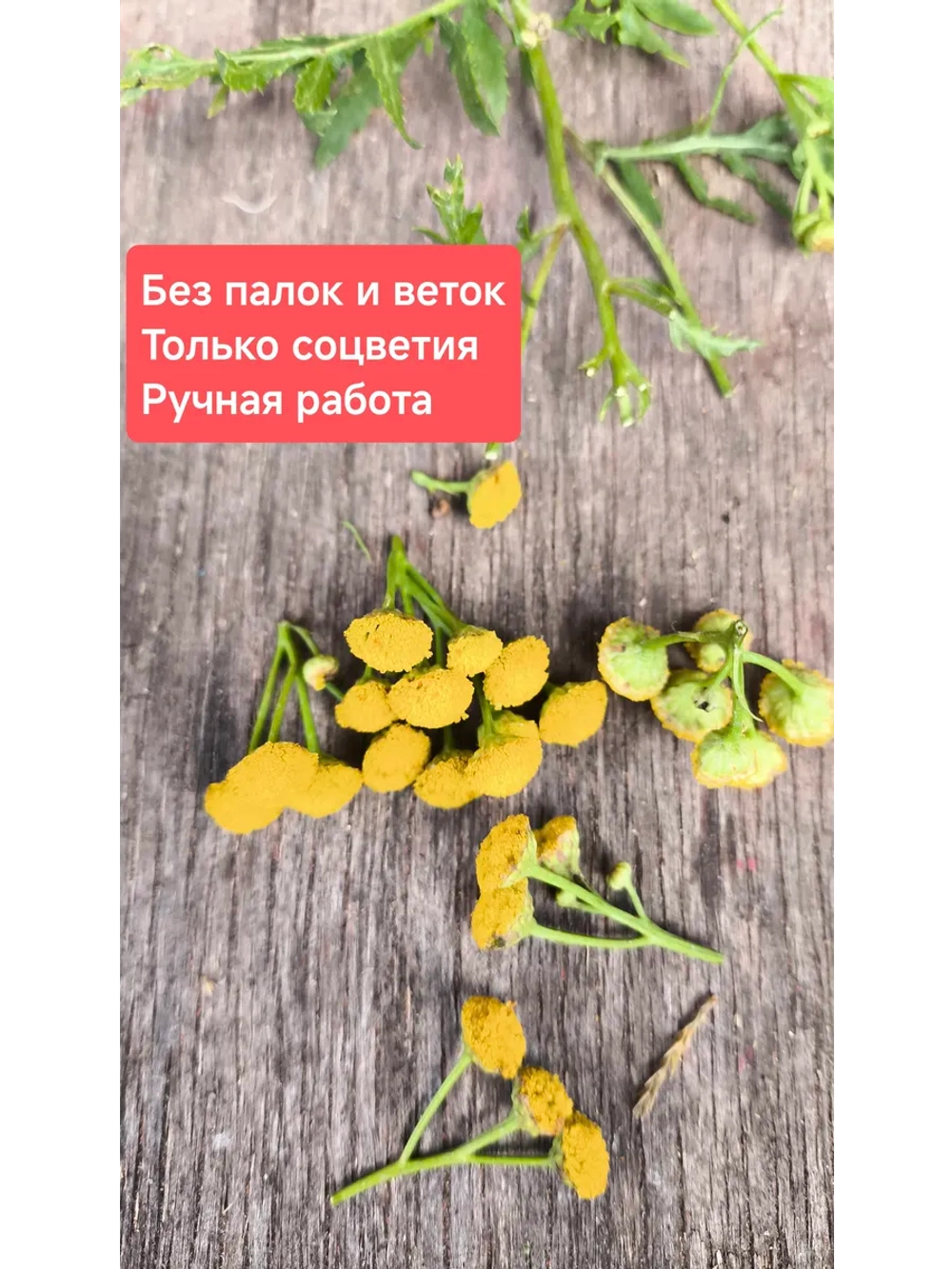 Набор Травы и Сухоцветы для скрапбукинга, свечей и декора