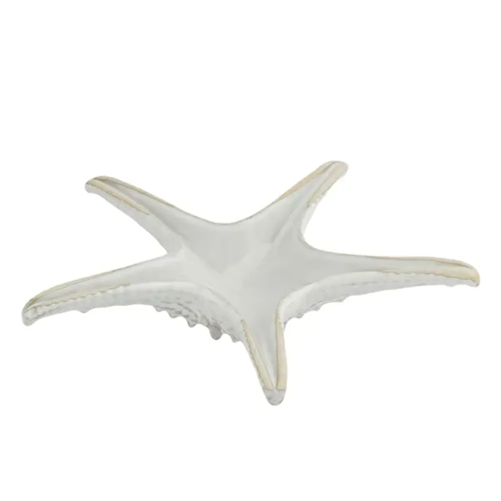 Блюдо для подачи 24 см h6 см для закусок Звезда Gray Starfish Frutti di Mare P.L. [1]