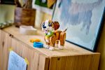 Конструктор LEGO Creator 3in1 31382 Cute Animals: Playful Puppy Dog
