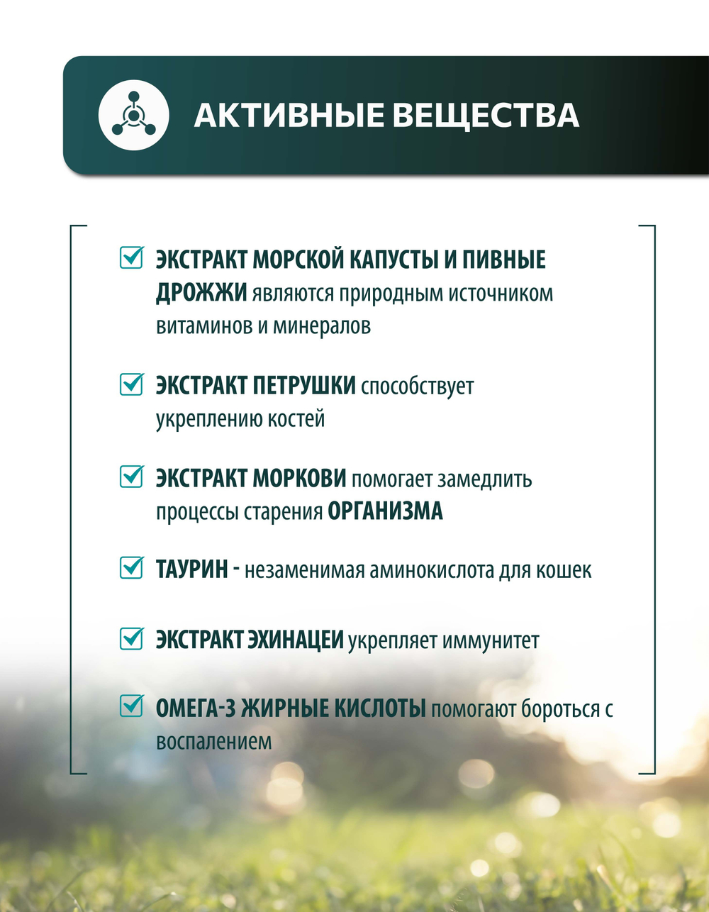 Vita+ мультивитаминное лакомство для кошек Крепкий иммунитет, 90 таблеток