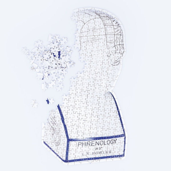 Пазл Doiy Phrenology