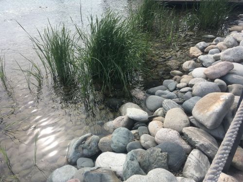 Булыжник речной Серый водоём Булыжник речной Серый водоём