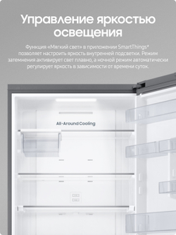 Холодильник Samsung RB50DG602ES9WR No Frost, 462 л