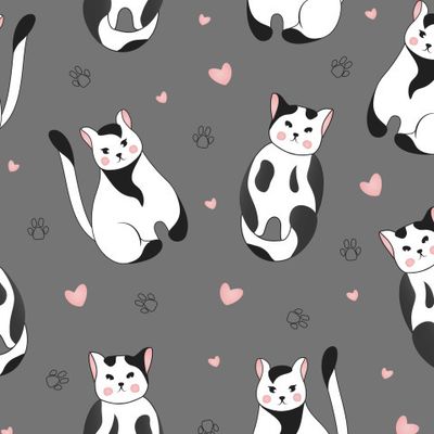 Черно-белые котики на сером