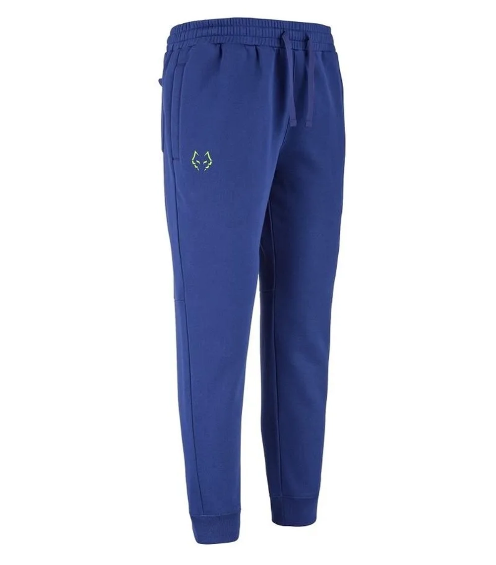 Мужские теннисные штаны Babolat Sweat J. Lebron - blue depths