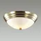 Потолочный светильник Kayla 5262/2C Lumion