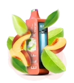 Elf Bar Planet 25000 - Double Peach Lime (5% nic)