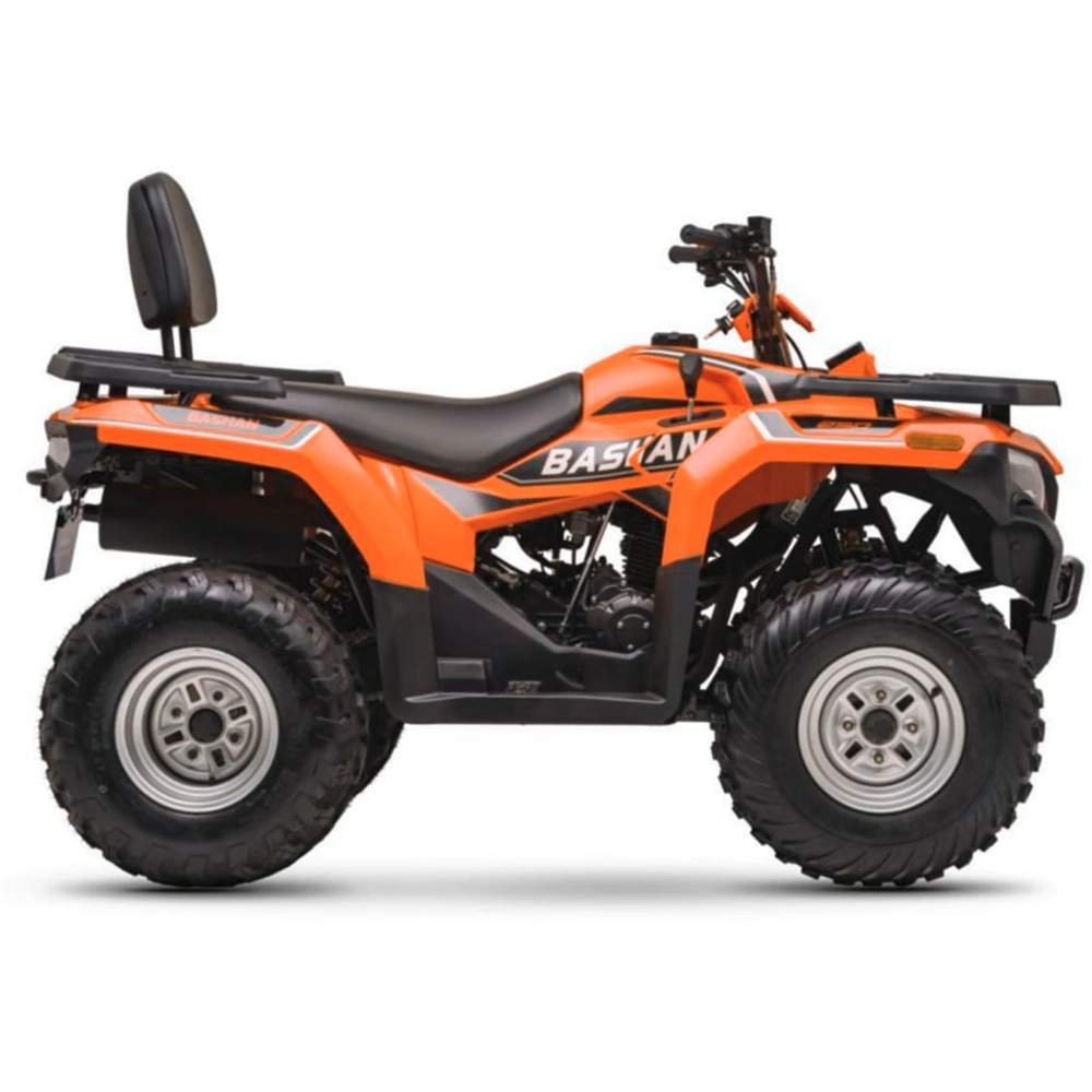 Квадроцикл Bashan BS200AU-19 зеленый