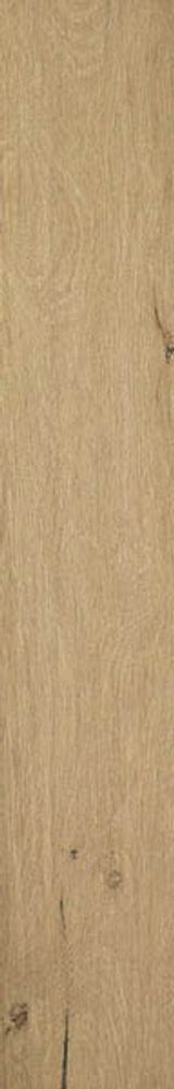Керамогранит Roots Honey Mat R9t (fPVZ)