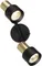 Спот Sat CL505621 Citilux