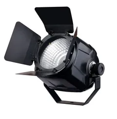 Exell Lighting EXLPARCOB100 светодиодный стационарный прожектор типа PAR