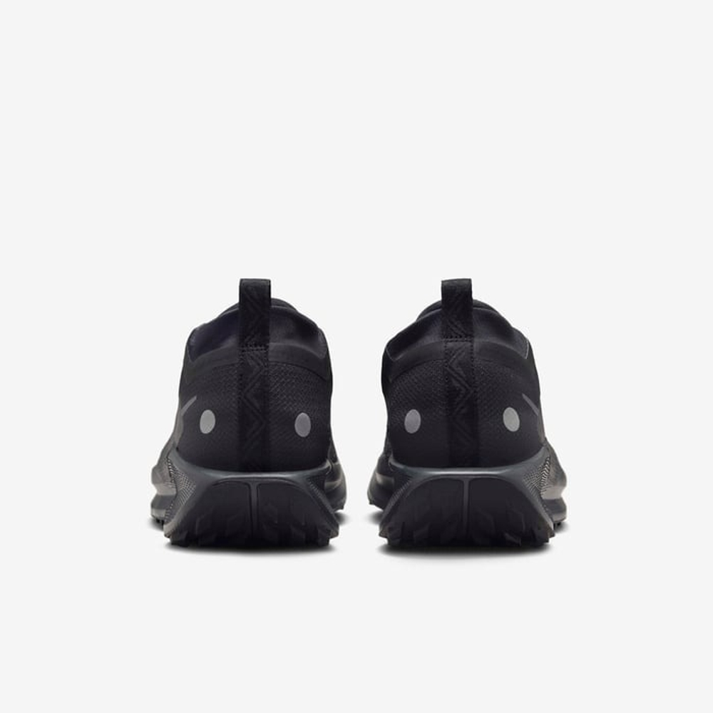 Кроссовки мужские NIKE Pegasus Trail 5 GORE-TEX