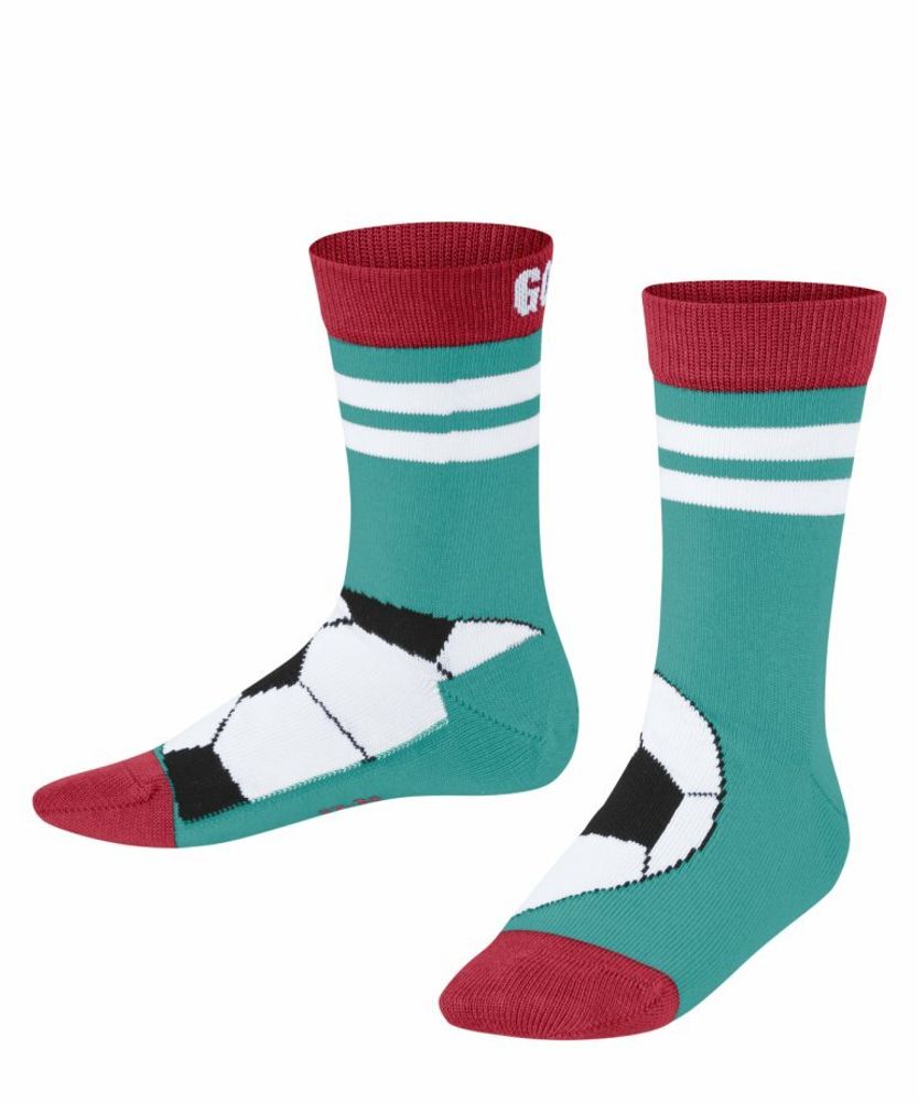 Носки Active Soccer FALKE 12933/7332