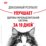 Royal Canin Urinary Care Уринари Кэа Корм влажный диета для взрослых кошек для поддержания здоровья мочевыделительной системы соус 85г