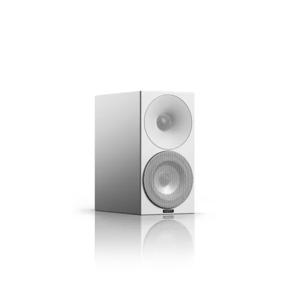 Amphion Argon0 + WiiM AMP + AudioQuest SLIP-DB 14/2