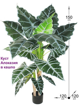 Искусственное растение Алоказия 150см в горшке