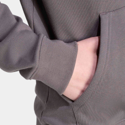 Толстовка мужская adidas Originals TREFOIL HOODY