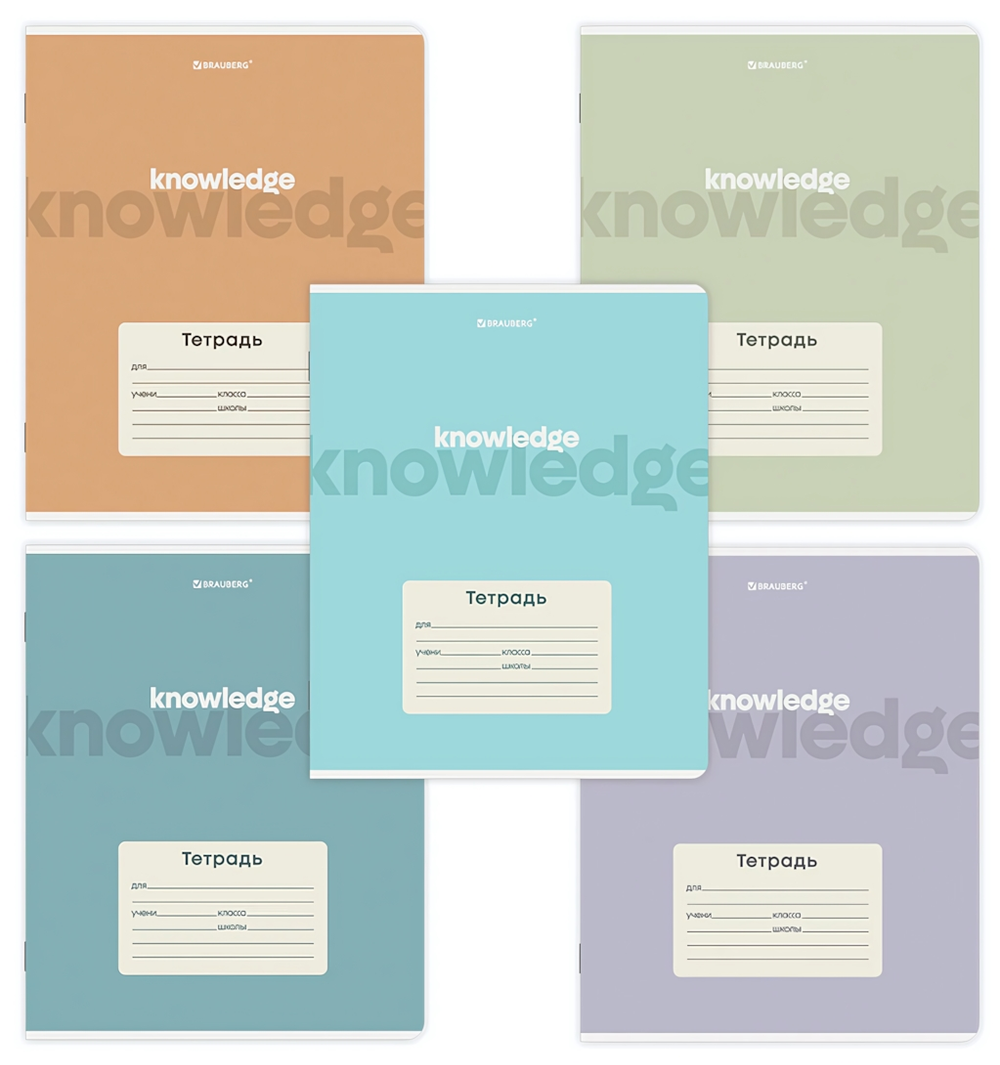 Тетрадь А5 24л. клетка "Knowledge" обложка картон, 5 видов (BRAUBERG)